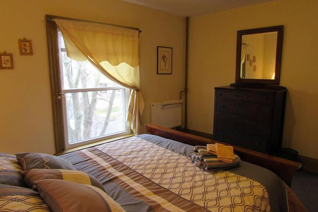 Great Gorge Guesthouse: Falls-View Retreat Near Downtown Attractions Niagara Falls Exterior photo